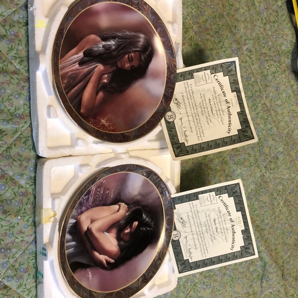 Collector Plates set of 2 - Picture 1 of 8